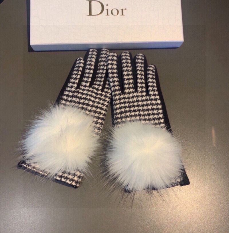 Christian Dior Gloves